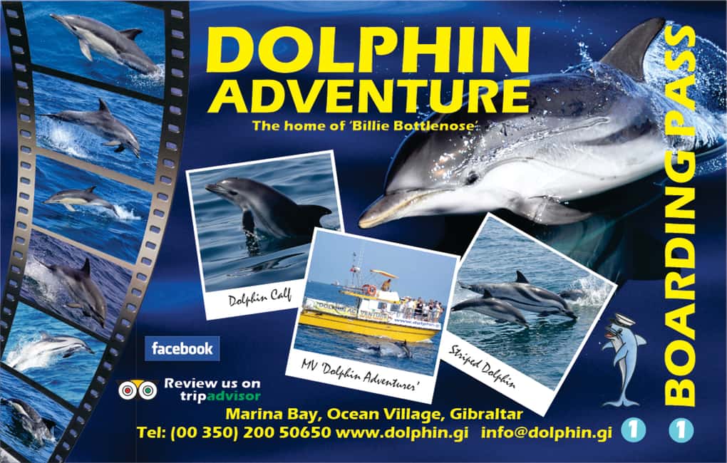 image n.8 of Gibraltar: Dolphin Watching Tour activity in Gibraltar, uploaded by supplier