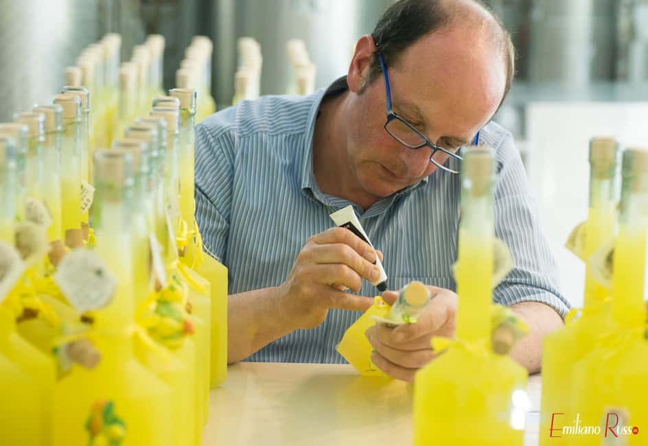image n.1 of Amalfi: Vertical Lemon Farm Tour, Tastings, and Rural Museum activity in Campania, uploaded by supplier