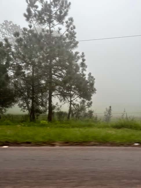 imagen n.º 7 de Excursión a Mazamitla desde Guadalajara con Mundo Aventura actividad en Jalisco, subida por el proveedor