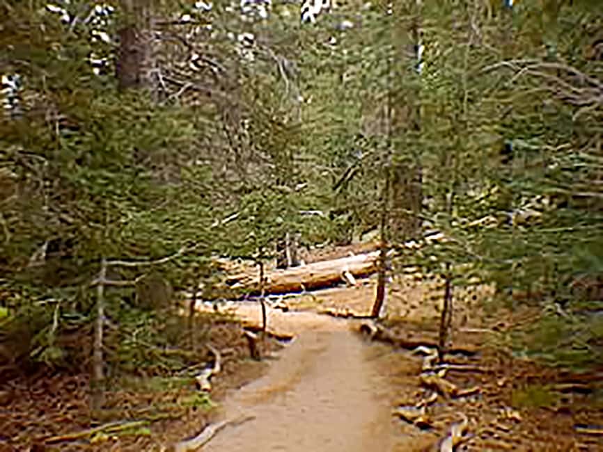image n.7 of Palm Springs: Aerial Tramway Round-Trip Ticket activity in Palm Springs, uploaded by supplier