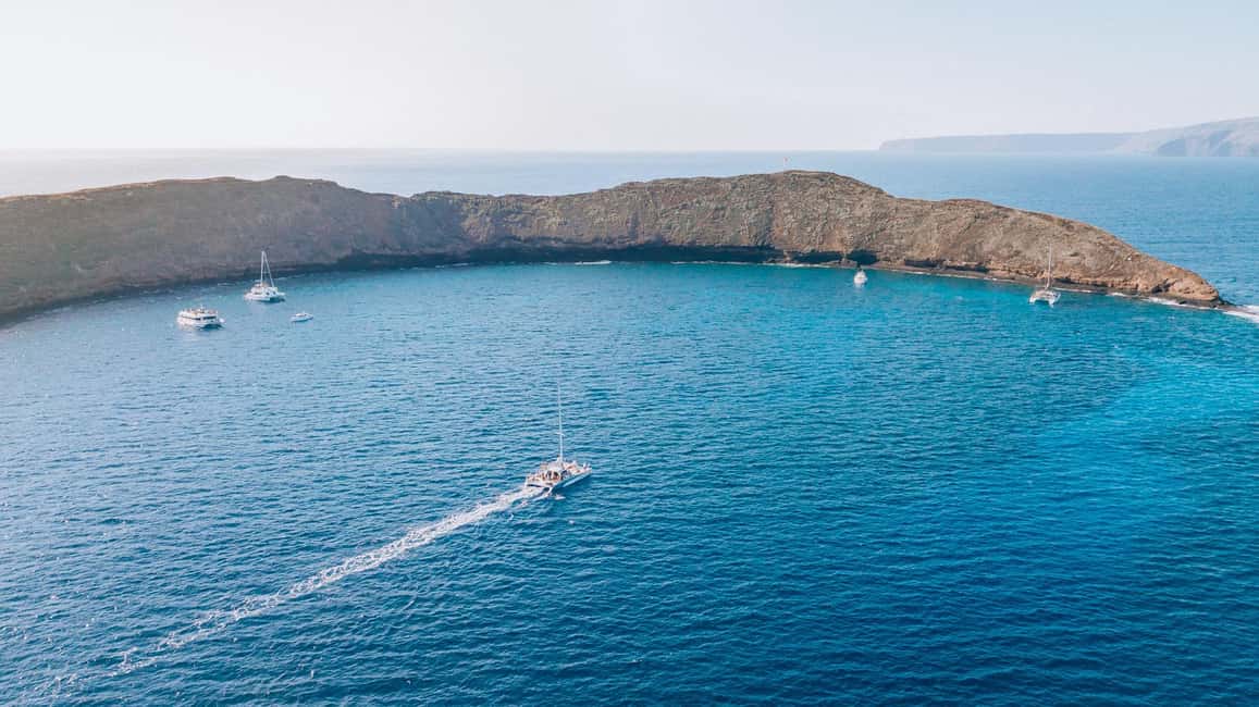 image n.3 of Maui: Molokini Snorkel and Performance Sail with Lunch activity in Hawaii, uploaded by supplier