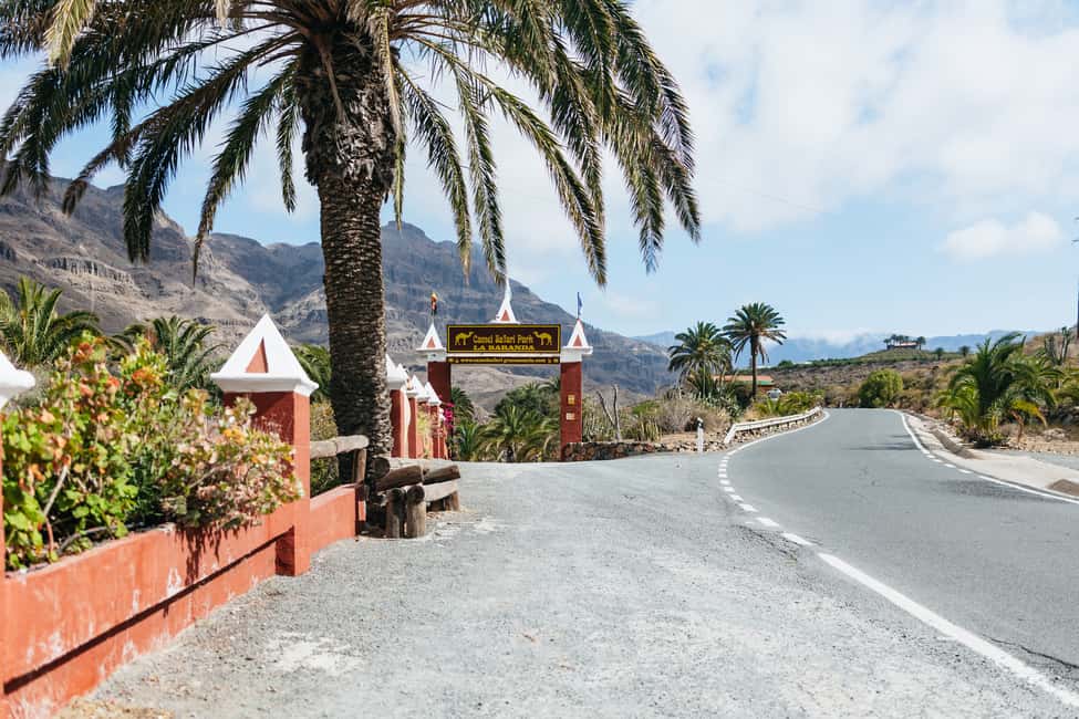 image n.5 of Gran Canaria: Camel Ride Safari w/ Optional Food & Transport activity in San Bartolomé de Tirajana, uploaded by supplier