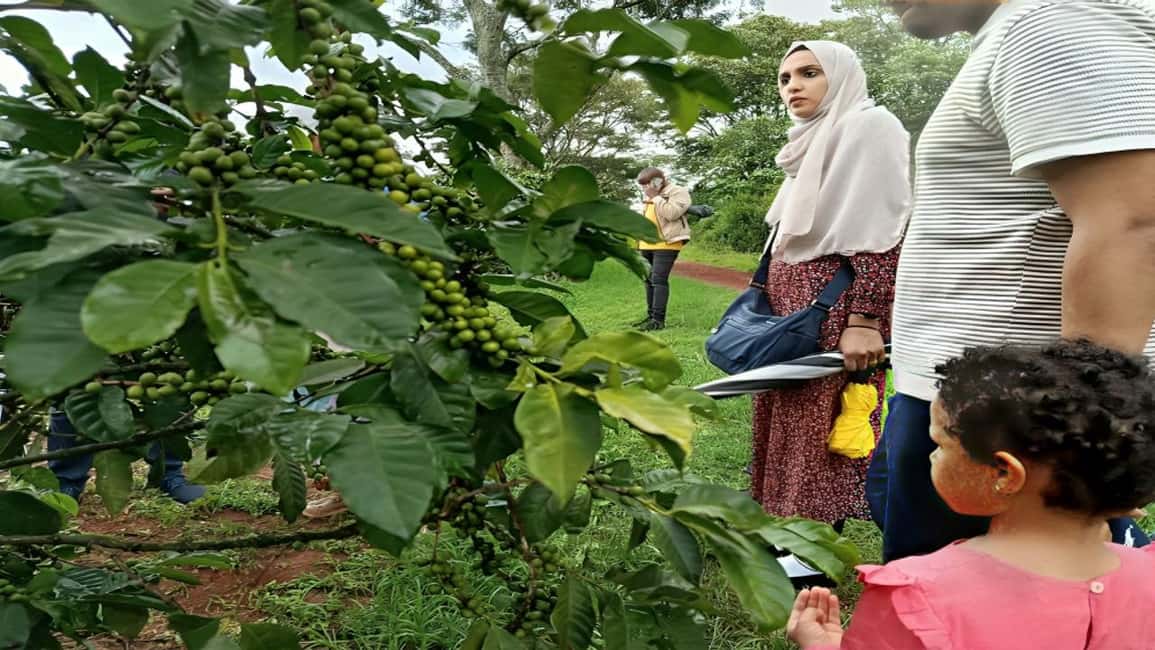 image n.1 of Coffee Farm Tour (Fairview) activity in Kiambu, uploaded by supplier