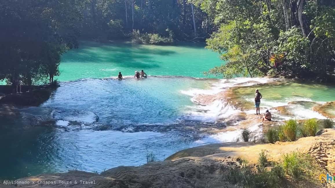 Image N°2 de Depuis Palenque : visite des chutes d'eau de Roberto Barrios activité à Palenque, Chiapas, publiée par le prestataire