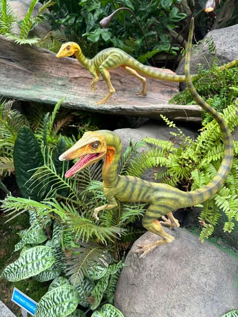 imagen n.º 1 de Singapur: tour de la ciudad y Jurassic World en Gardens by the Bay actividad en Singapur, subida por el proveedor