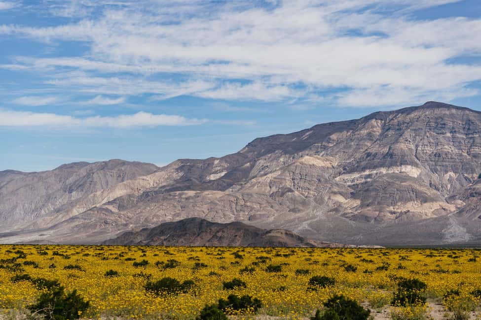 image n.16 of From Las Vegas: Death Valley Guided Day Tour activity in Nevada, uploaded by supplier