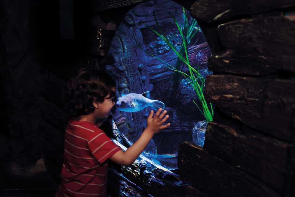 image n.7 of London: Madame Tussauds, London Eye & SEA LIFE Combo Ticket activity in London, uploaded by supplier
