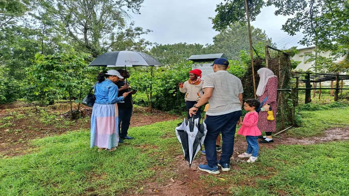 image n.20 of Coffee Farm Tour (Fairview) activity in Kiambu, uploaded by supplier