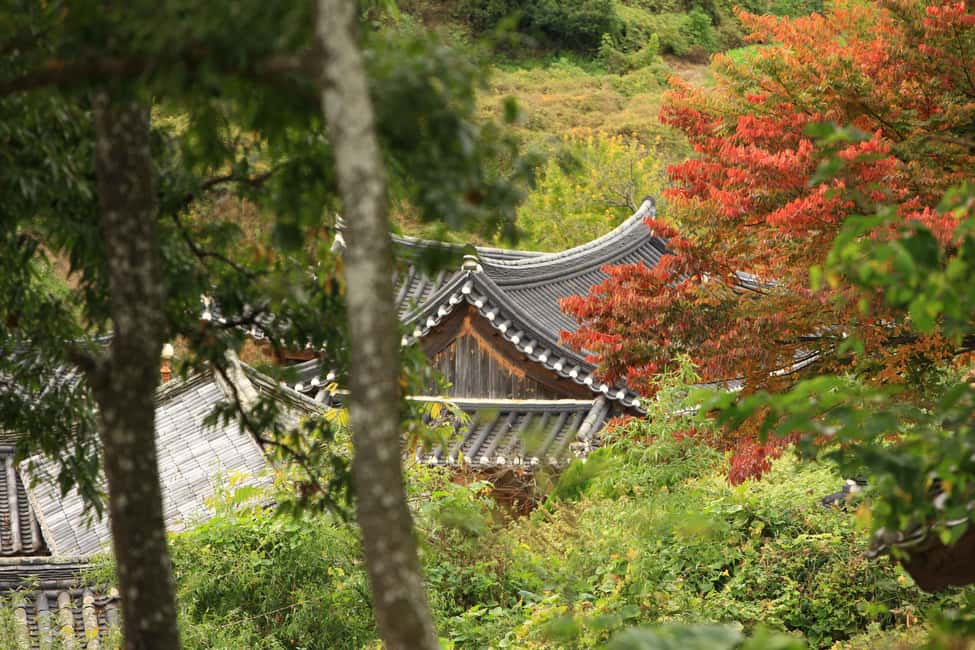 Image N°16 de Au départ de Busan : visite guidée d'une journée à Gyeongju, patrimoine mondial de l'UNESCO activité à Gyeongju, publiée par le prestataire