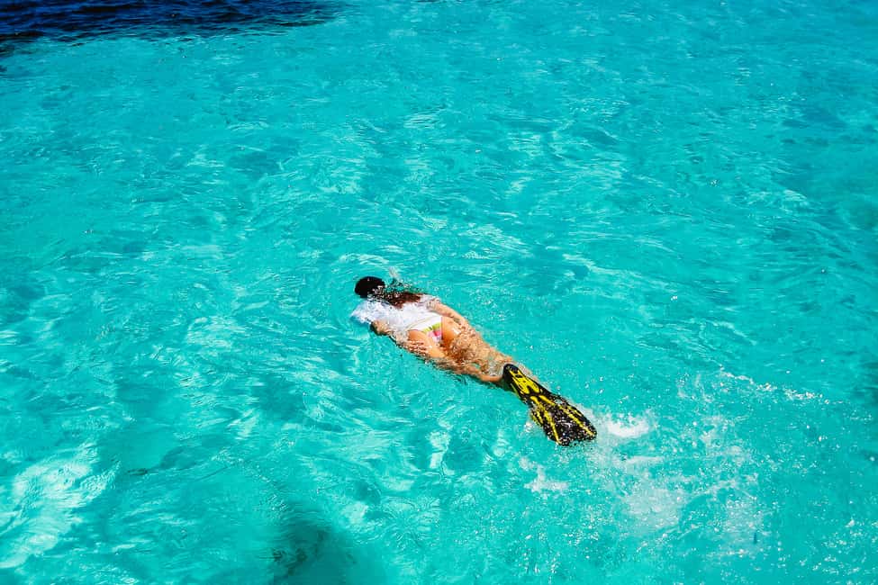 imagen n.º 4 de Desde Miami Excursión de un día a Cayo Hueso actividad en Cayo Hueso, subida por el proveedor