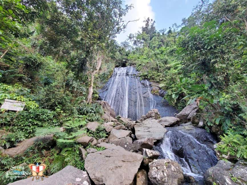 image n.3 of San Juan: Hike to The Clouds & Forest Bathing activity in San Juan, Puerto Rico, uploaded by supplier