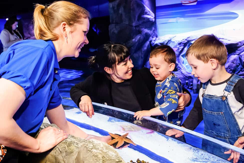 image n.3 of London: SEA LIFE Entry Ticket activity in London, uploaded by supplier
