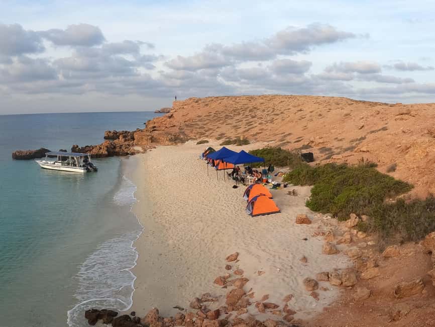 Immagine nº 21 di Isola di Daymaniyat: tour di snorkeling con pranzo gustoso attività a Seeb, caricata dal fornitore