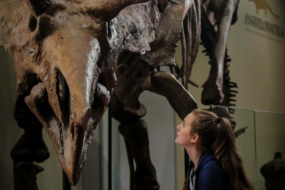 imagem n.9 de Otava: Ingresso no Museu Canadiano da Natureza atividade em Ottawa, carregada pelo fornecedor