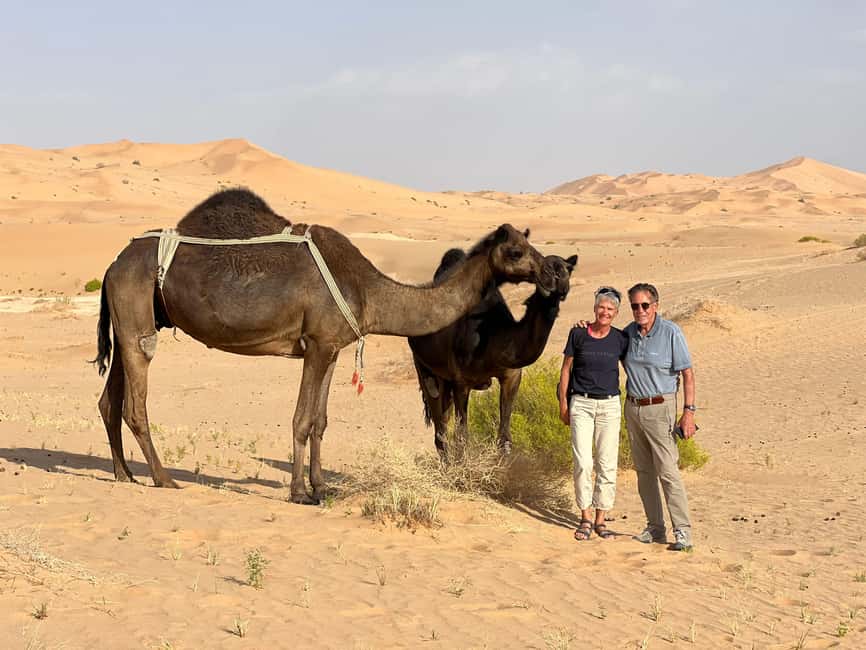 image n.17 of Desert Safari, Sunset & Sand Bashing (Rub Al Khali Desert) activity in Dhofar, uploaded by supplier