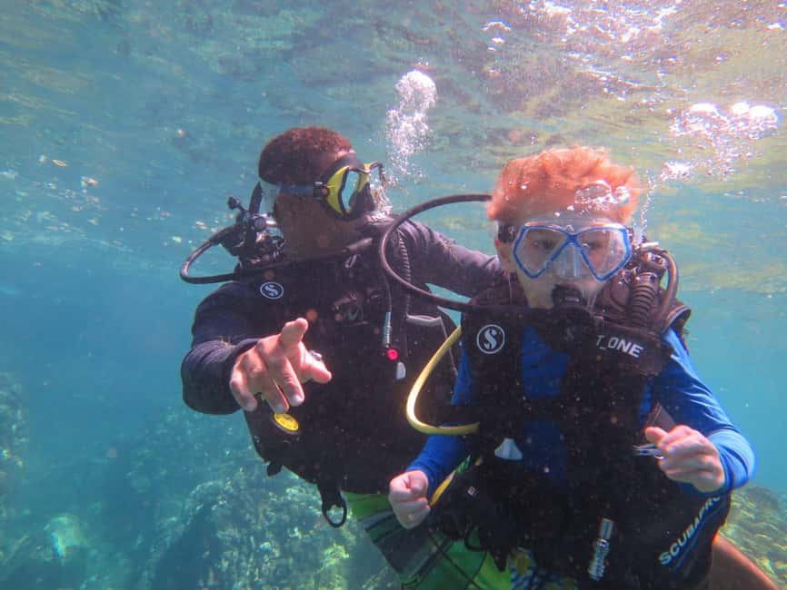 image n.16 of DISCOVER SCUBA DIVING IN LEMORNE with EasydiveMauritius activity in Mauritius, uploaded by supplier