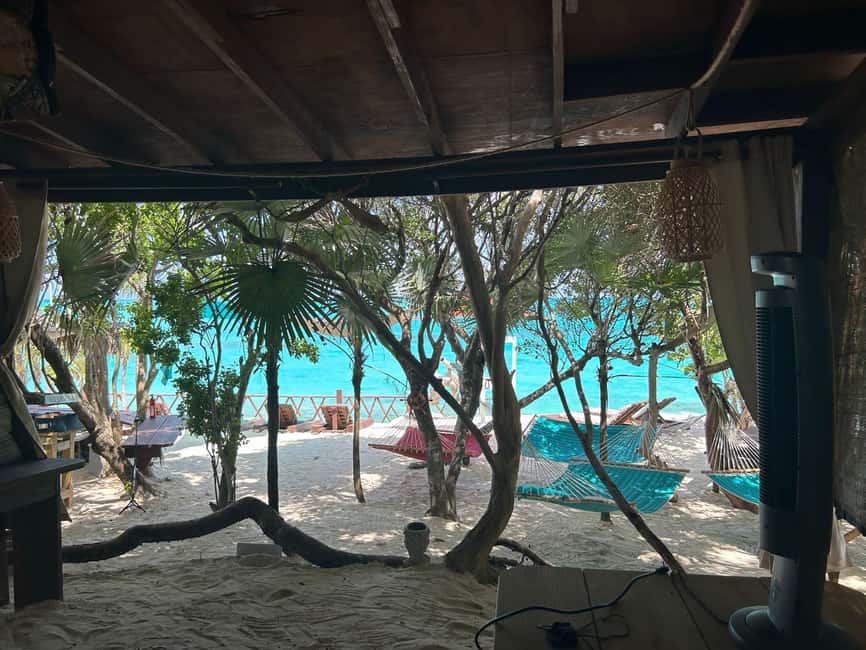 Image N°71 de Nassau : Cochons, plongée en apnée, tortues, déjeuner, club de plage privé activité à New Providence, publiée par le prestataire