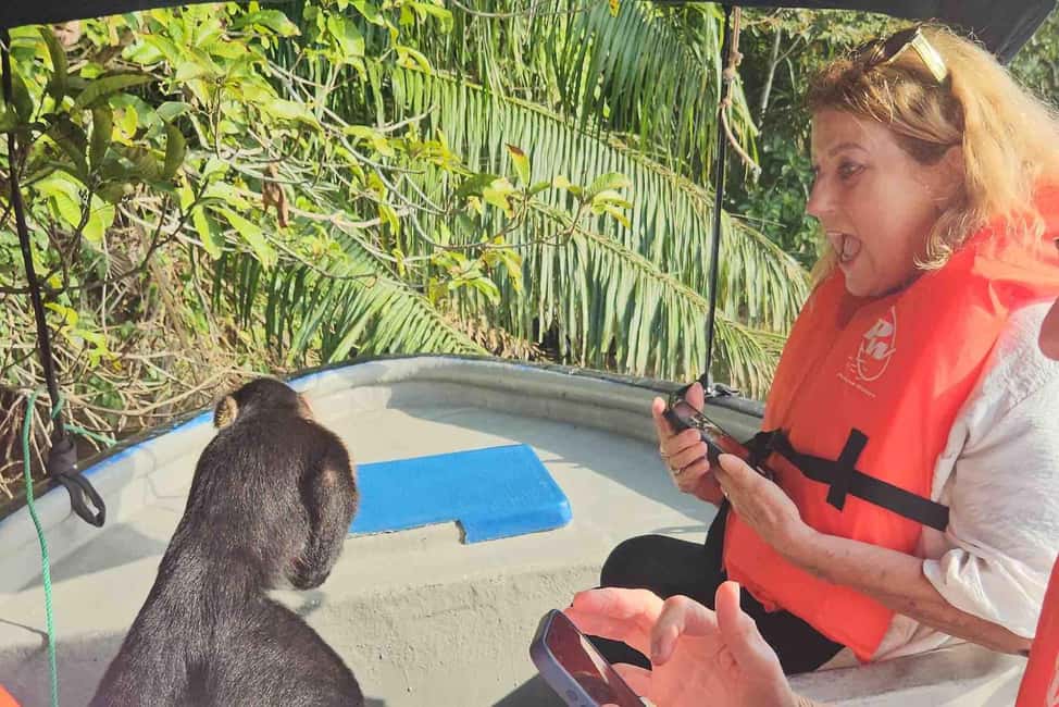 image n.6 of Panama: Monkey Island, Sloth Sanctuary and Panama Canal Tour activity in Colón Province, uploaded by supplier