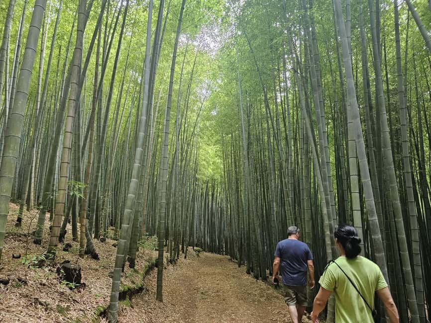 image n.11 of Busan: A Well-Rounded Small-Group Tour with Certified Guide activity in Busan, uploaded by supplier