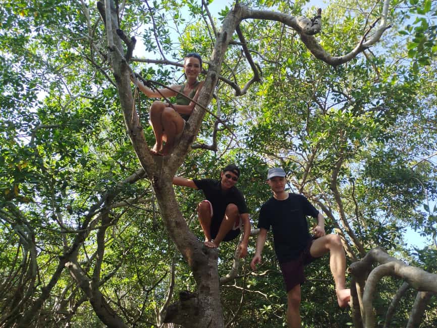 image n.36 of Cartagena: Private Sail in the mangrove GUIDE in ENGLISH activity in Cartagena, uploaded by supplier