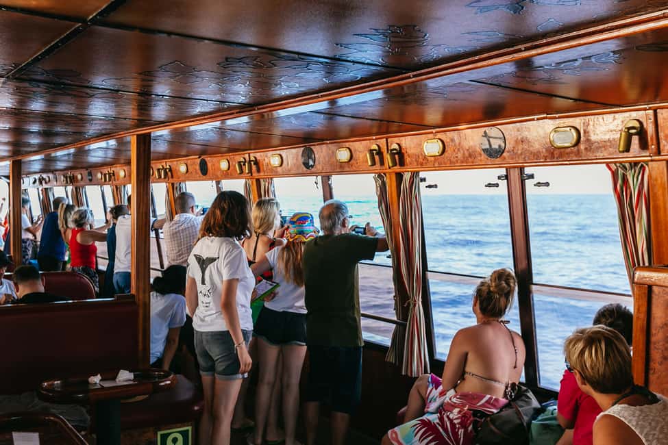 billede nr.27 af aktiviteten Adeje: Hval- og delfinsafari med frokost og svømmetur i Costa Adeje, uploadet af udbyder