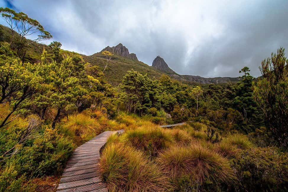 image n.4 of Cradle Mountain: Day Trip from Launceston with Lunch activity in Tasmania, uploaded by supplier