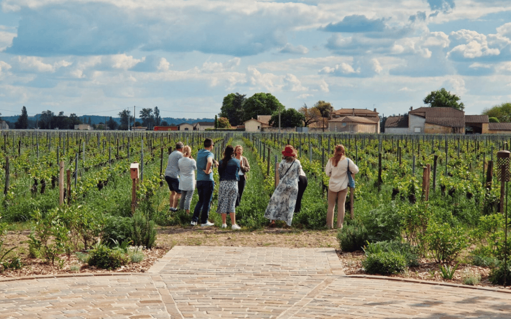 image n.4 of Bordeaux Full Day Wine Tour - 3 Wineries & Picnic Lunch activity in Bordeaux, uploaded by supplier