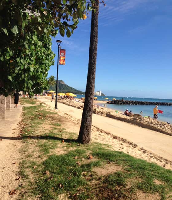 Immagine nº 20 di Oahu: Escursione alle cascate di Manoa e giornata sulla spiaggia del lato est attività a Honolulu, caricata dal fornitore