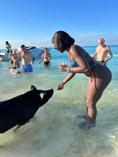 Image N°99 de Nassau : Cochons, plongée en apnée, tortues, déjeuner, club de plage privé activité à New Providence, publiée par le prestataire