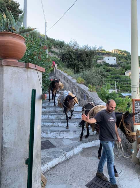 image n.23 of Maiori: Amalfi Coast Path of Lemons Day Trip with Tastings activity in Maiori, uploaded by supplier