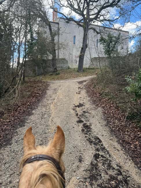 Immagine nº 2 di Siena: Tour a Cavallo Sulla via Francigena attività a Monteriggioni, caricata dal fornitore