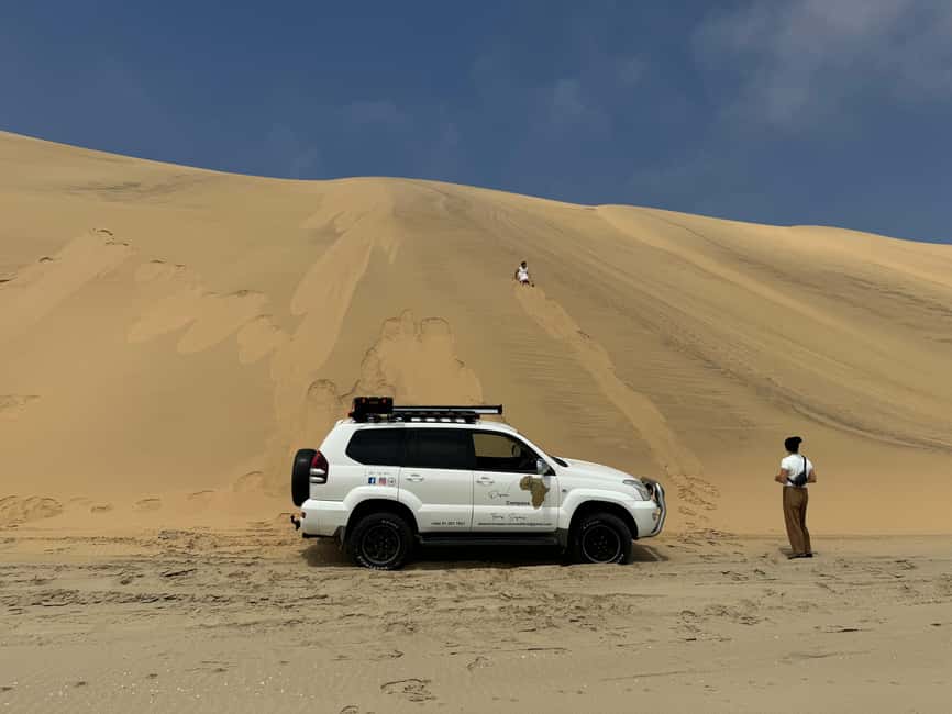 image n.83 of Walvisbay: Sandwich Harbour 4x4 Tour-Unparalleled Experience activity in Erongo, uploaded by supplier