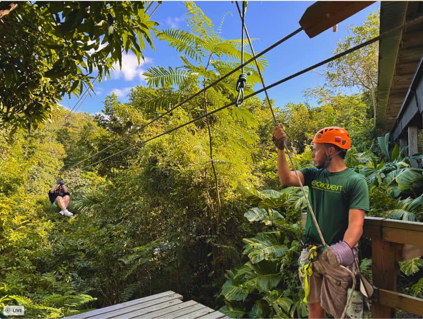 Obraz nr 3 z atrakcji San Juan: Ecoadventure Ziplining w pobliżu miasta w San Juan, przesłany przez organizatora