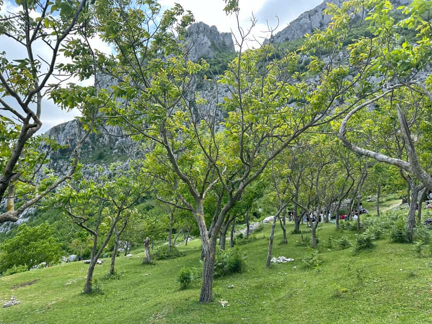 image n.9 of From Tirana: Bovilla Lake & Gamti Mountain Viewpoint Hike activity in Krujë, uploaded by supplier