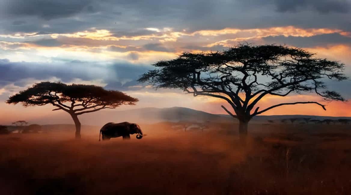 imagen n.º 1 de Arusha: Safari de 5 días en tienda de campaña por el Parque Nacional del Serengeti actividad en Provincial Central de Kenia, subida por el proveedor