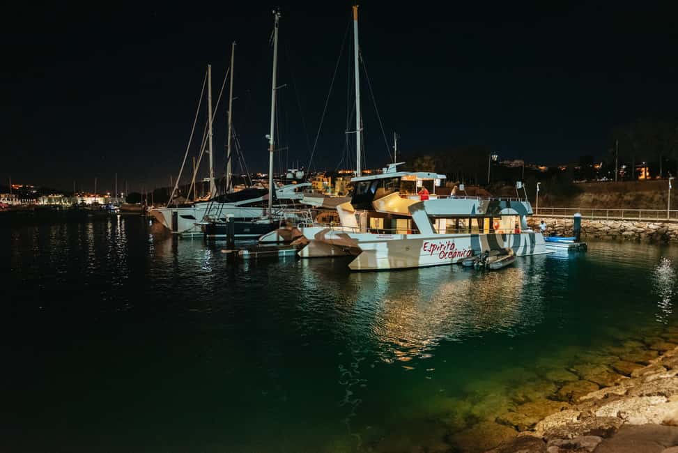afbeelding n.26 van Vanuit Albufeira: Sunset Cruise en Strand BBQ met Open Bar activiteit in Olhos de Água, geüpload door aanbieder