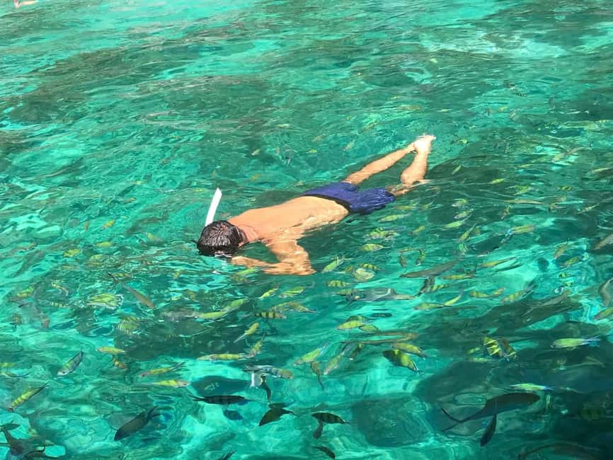 billede nr.17 af aktiviteten Phi Phi: 7 Islands Speed Boat til Maya Bay og Bamboo i Thailandbugten, uploadet af udbyder