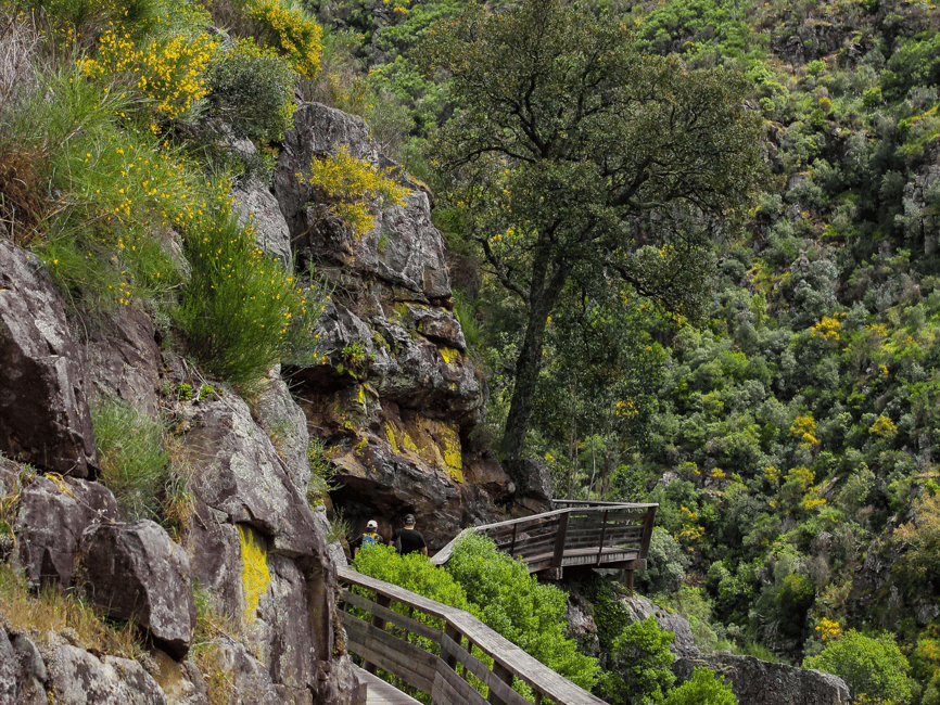 image n.18 of From Porto: Arouca 516 and Paiva Walkways Guided Day Trip activity in Arouca, uploaded by supplier