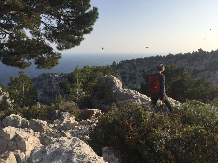 image n.42 of Marseille: Calanques National Park Guided Hike with Picnic activity in Marseille, uploaded by supplier