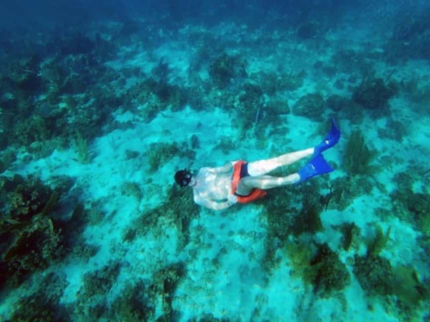 imagem n.4 de Catamarã Negril: Passeio matinal, mergulho com snorkel, DJ e Rick's Cafe atividade em Negril, carregada pelo fornecedor