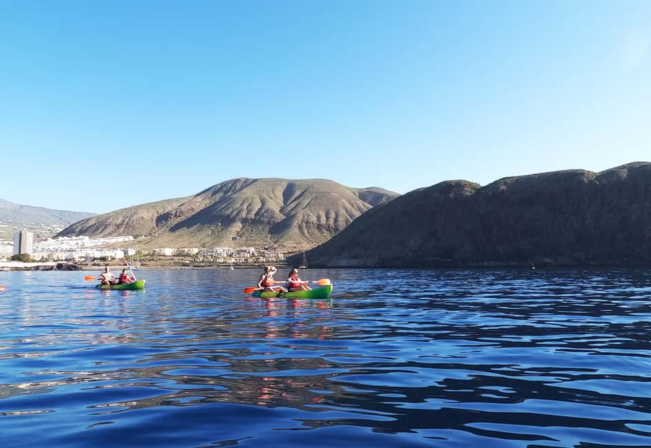 image n.44 of Tenerife: Kayak & Snorkel with Turtles & Dolphins w/Photos activity in Los Cristianos, uploaded by supplier