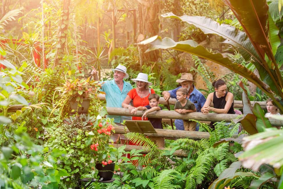 image n.13 of From Port Douglas: Kuranda via Scenic Rail or Skyrail Option activity in Kuranda, uploaded by supplier