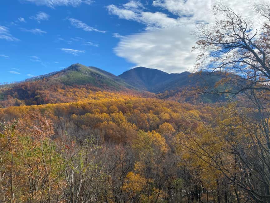 image n.1 of Gatlinburg: Great Smoky Mountains National Park Classic Tour activity in Bryson City, uploaded by supplier
