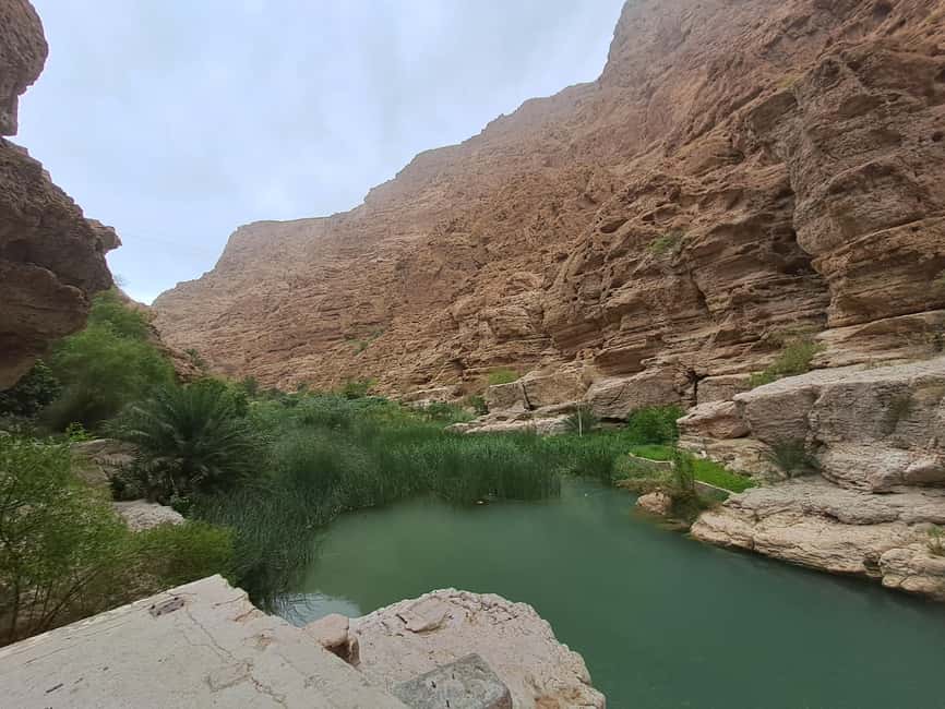 Immagine nº 16 di Da Muscat: Tour guidato di una notte nel campo del deserto attività a Regione al-Sharqiyya, caricata dal fornitore