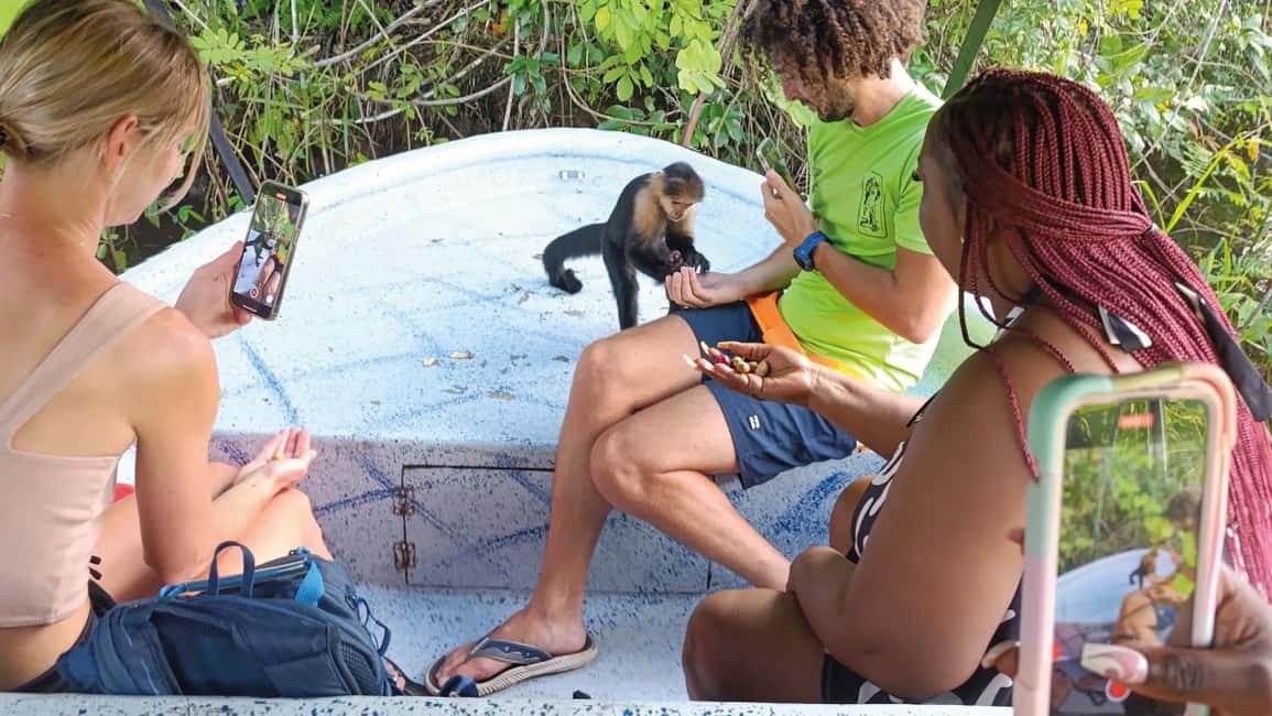 image n.19 of Panama Canal: Monkey Island and Jungle Hike Eco Tour activity in Colón Province, uploaded by supplier