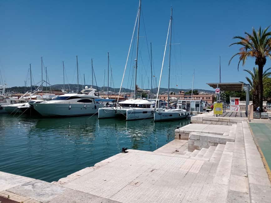 Bild Nr. 15 von Von Palma: 3-stündige Bootstour zur Delfinbeobachtung am Morgen Aktivität in Palma de Mallorca, hochgeladen vom Anbieter