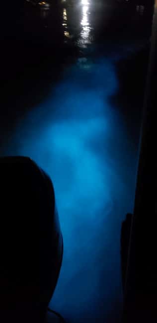imagem n.2 de Falmouth: Experiência noturna na Lagoa Luminosa atividade em Falmouth, carregada pelo fornecedor