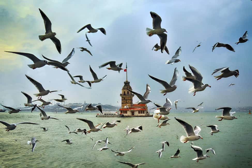 image n.3 of Istanbul: Official Museum Pass for 12 Most Popular Museums activity in Istanbul, uploaded by supplier