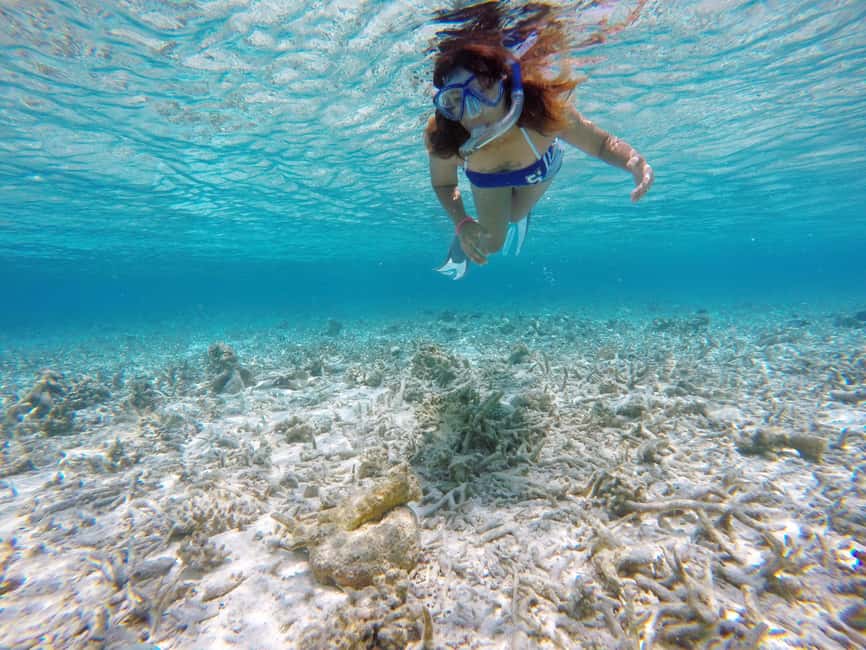 image n.21 of Hulhumale: Full Day Boat Tour and Snorkeling activity in Malé, uploaded by supplier
