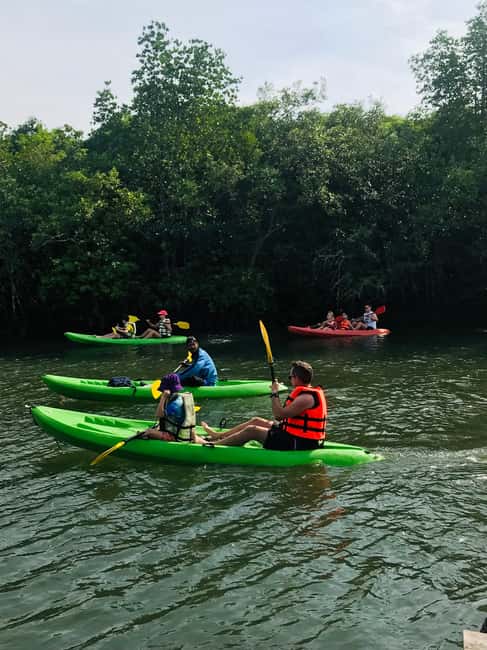 image n.8 of Ko Lanta: Half-Day Mangrove Kayaking Tour with Lunch activity in Tung Yee Peng, uploaded by supplier